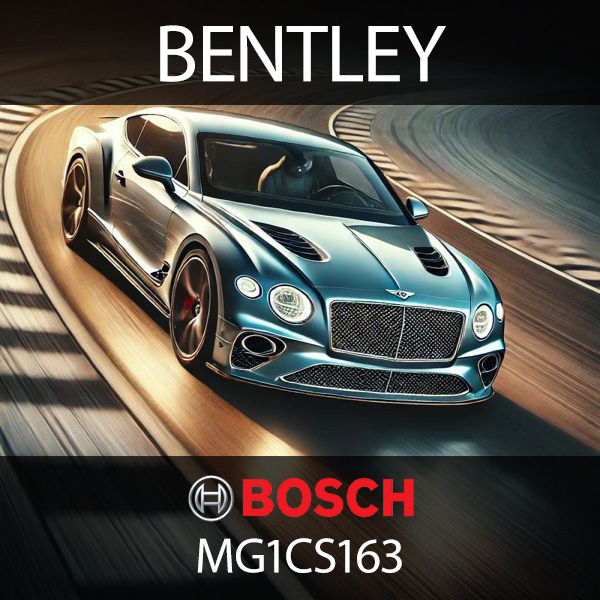 Bentley MG1CS163 bench cable % bentley-mg1cs163-bench-cable