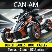 can-am-wirings-for-tuning