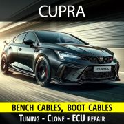 cupra-wirings-for-tuning