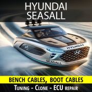 hyundai-seasall-wirings-for-tuning